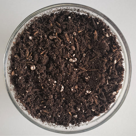 Elite Living Soil – The Soil Makers